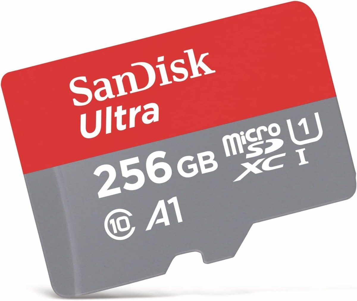 Carte microSD 256 Go